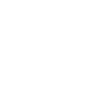 Hidden Objects